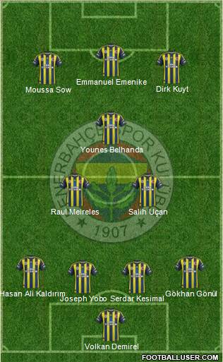 Fenerbahçe SK Formation 2013