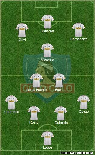 CSD Colo Colo Formation 2013