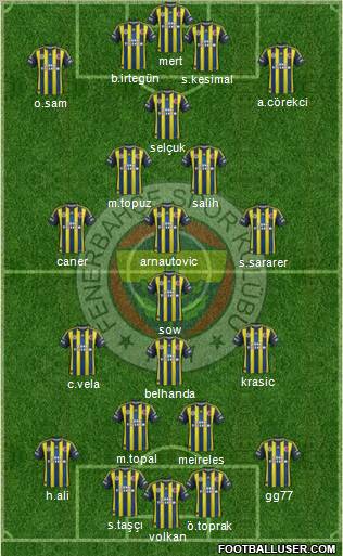 Fenerbahçe SK Formation 2013