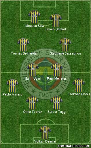 Fenerbahçe SK Formation 2013