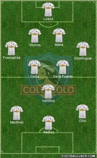 CSD Colo Colo Formation 2013