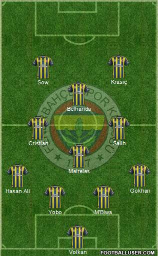 Fenerbahçe SK Formation 2013