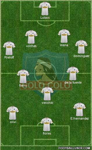 CSD Colo Colo Formation 2013