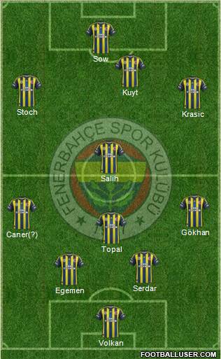 Fenerbahçe SK Formation 2013