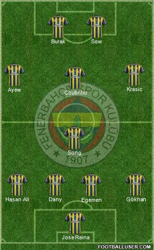 Fenerbahçe SK Formation 2013