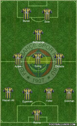 Fenerbahçe SK Formation 2013