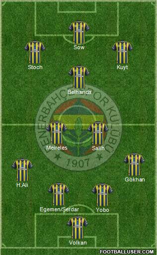 Fenerbahçe SK Formation 2013
