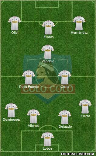 CSD Colo Colo Formation 2013