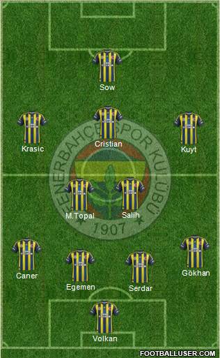 Fenerbahçe SK Formation 2013