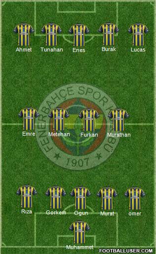 Fenerbahçe SK Formation 2013