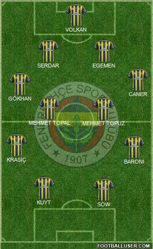 Fenerbahçe SK Formation 2013