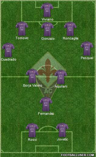 Fiorentina Formation 2013