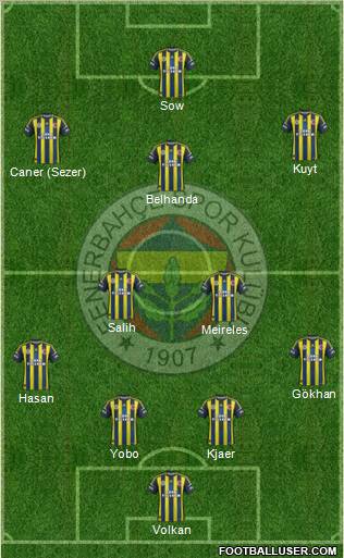 Fenerbahçe SK Formation 2013