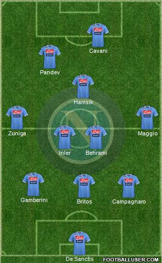 Napoli Formation 2013
