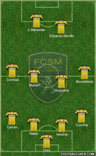FC Sochaux-Montbéliard Formation 2013
