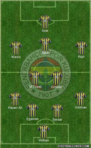 Fenerbahçe SK Formation 2013