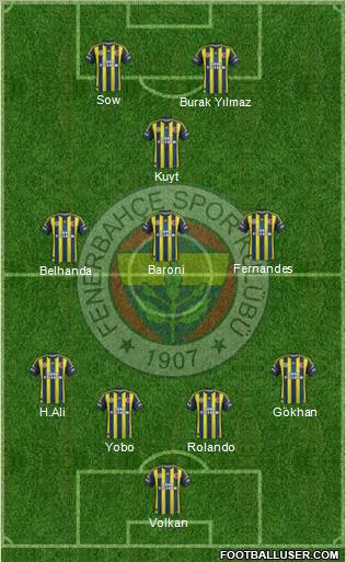 Fenerbahçe SK Formation 2013