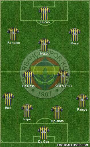 Fenerbahçe SK Formation 2013