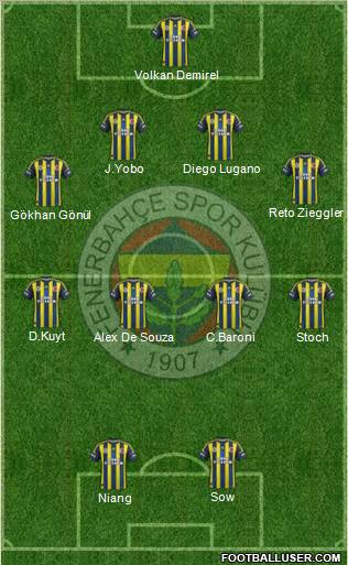 Fenerbahçe SK Formation 2013