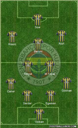 Fenerbahçe SK Formation 2013