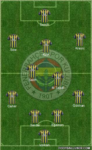 Fenerbahçe SK Formation 2013