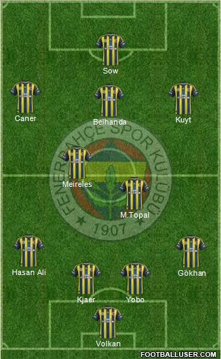 Fenerbahçe SK Formation 2013