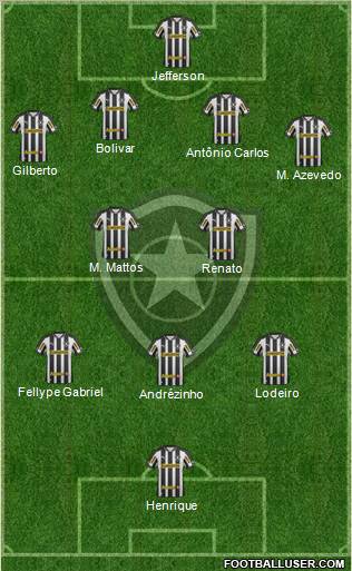 Botafogo FR Formation 2013