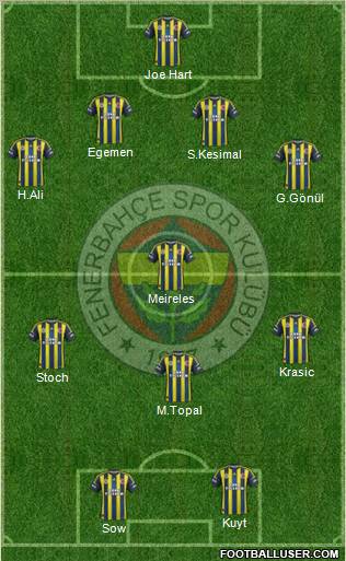 Fenerbahçe SK Formation 2013