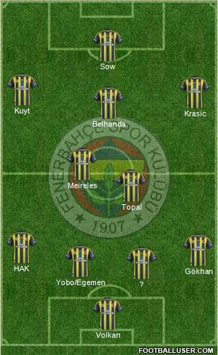 Fenerbahçe SK Formation 2013