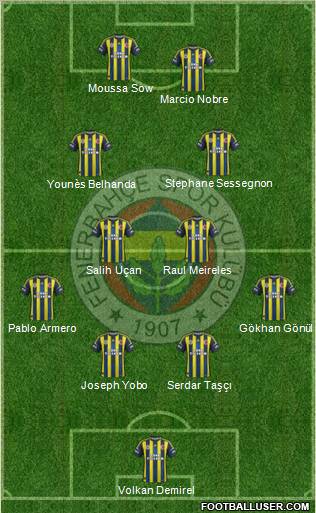 Fenerbahçe SK Formation 2013