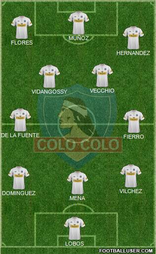 CSD Colo Colo Formation 2013