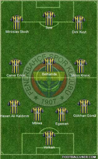 Fenerbahçe SK Formation 2013