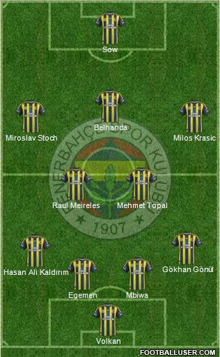 Fenerbahçe SK Formation 2013