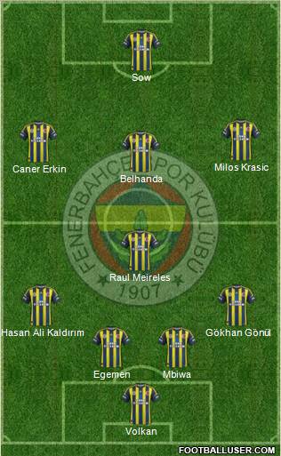 Fenerbahçe SK Formation 2013