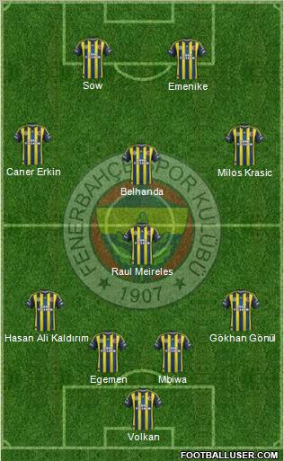 Fenerbahçe SK Formation 2013