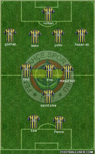 Fenerbahçe SK Formation 2013