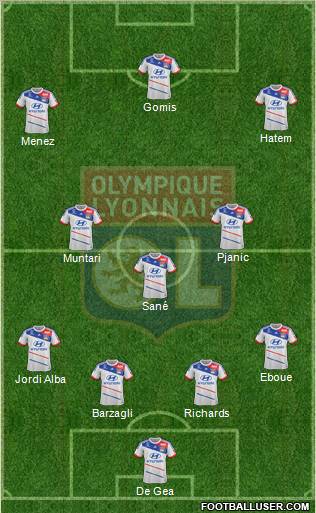 Olympique Lyonnais Formation 2013