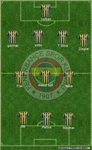 Fenerbahçe SK Formation 2013