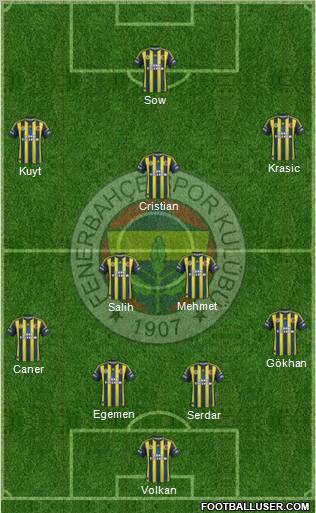 Fenerbahçe SK Formation 2013