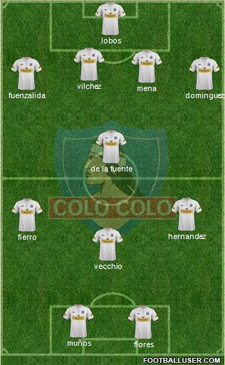 CSD Colo Colo Formation 2013