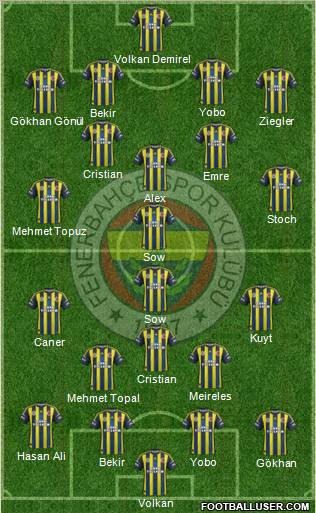 Fenerbahçe SK Formation 2013