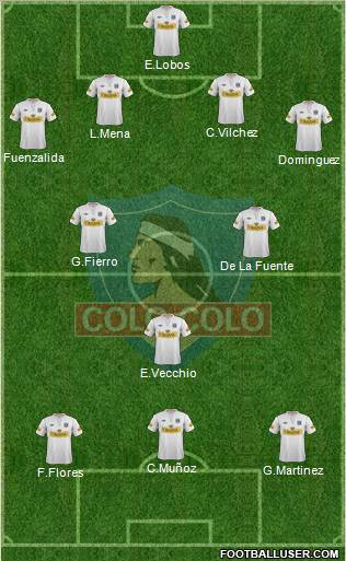 CSD Colo Colo Formation 2013