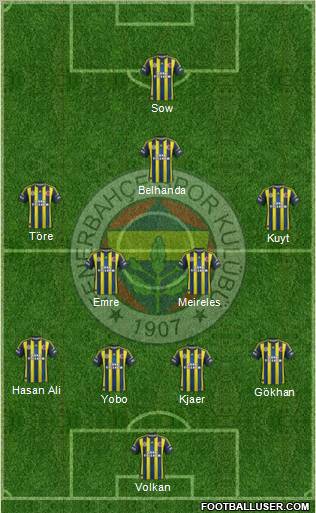 Fenerbahçe SK Formation 2013