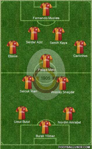 Galatasaray SK Formation 2013
