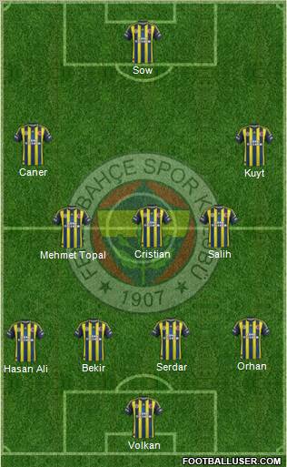 Fenerbahçe SK Formation 2013
