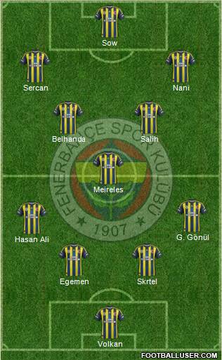 Fenerbahçe SK Formation 2013