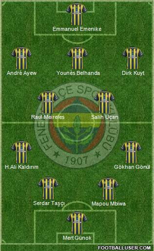 Fenerbahçe SK Formation 2013