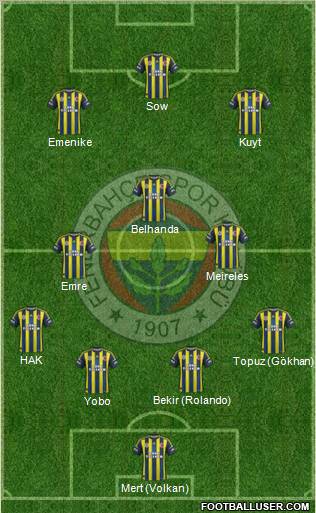 Fenerbahçe SK Formation 2013