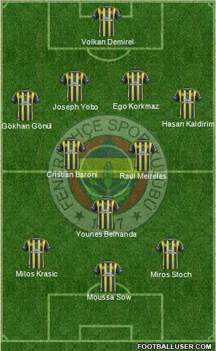Fenerbahçe SK Formation 2013