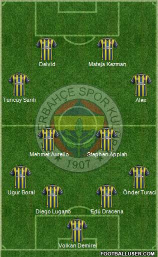 Fenerbahçe SK Formation 2013